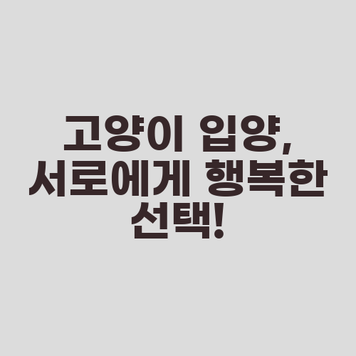 고양이 입양, 서로에게 행복한 선택!