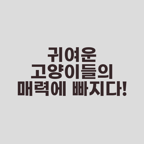 귀여운 고양이들의 매력에 빠지다!