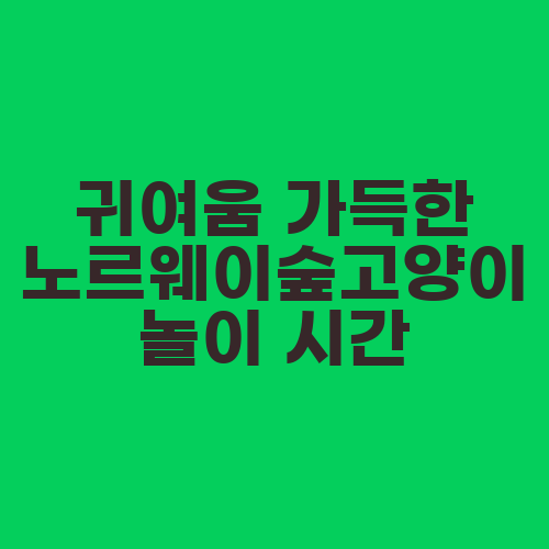 귀여움 가득한 노르웨이숲고양이 놀이 시간