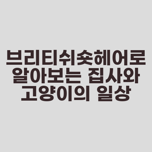 브리티쉬숏헤어로 알아보는 집사와 고양이의 일상