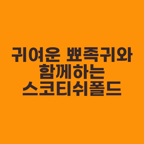 귀여운 뾰족귀와 함께하는 스코티쉬폴드
