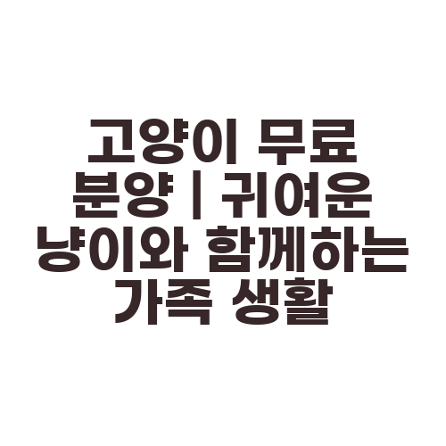 고양이 무료 분양 | 귀여운 냥이와 함께하는 가족 생활
