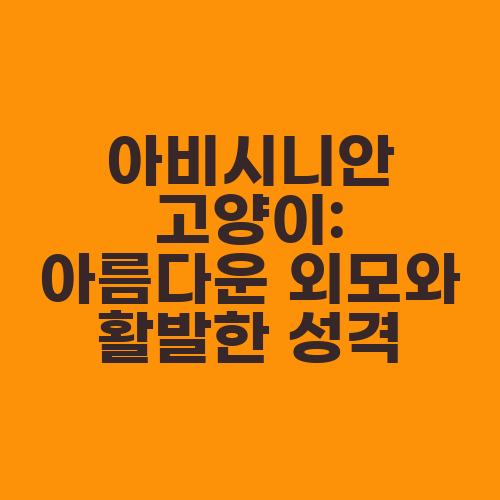 아비시니안 고양이: 아름다운 외모와 활발한 성격