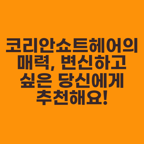 코리안쇼트헤어의 매력, 변신하고 싶은 당신에게 추천해요!
