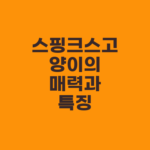 스핑크스고양이의 매력과 특징