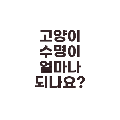 고양이 수명이 얼마나 되나요?