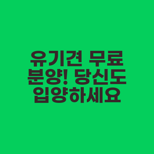 유기견 무료 분양! 당신도 입양하세요