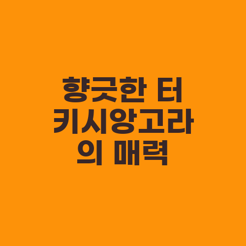 향긋한 터키시앙고라의 매력