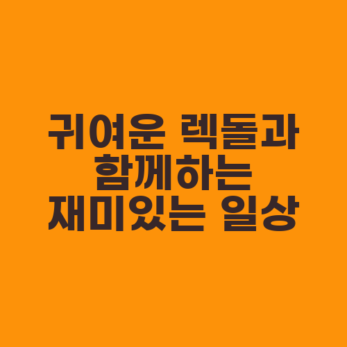 귀여운 렉돌과 함께하는 재미있는 일상