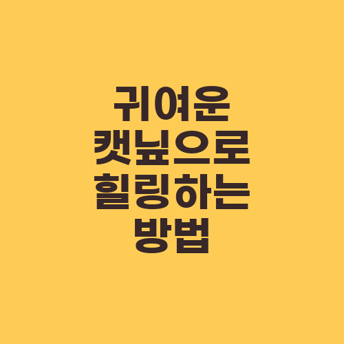 귀여운 캣닢으로 힐링하는 방법
